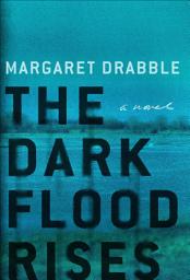 Icon image The Dark Flood Rises: A Novel