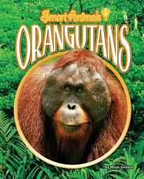 Icon image Orangutans