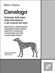 Icon image Canalogo