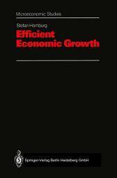 Icon image Efficient Economic Growth