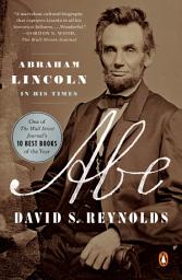 Icon image Abe: Abraham Lincoln in His Times