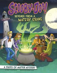 Icon image Scooby-Doo! A States of Matter Mystery: Revenge from a Watery Grave