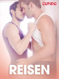 Icon image Reisen – erotisk novelle