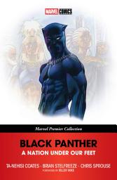 Icon image Black Panther: A Nation Under Our Feet [Marvel Premier Collection]