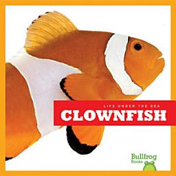 Icon image Clownfish
