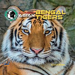 Icon image All About Asian Bengal Tigers