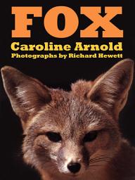 Icon image Fox