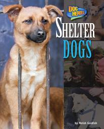 Icon image Shelter Dogs