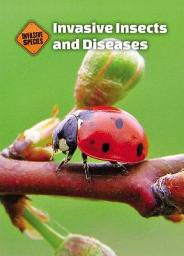 Icon image Invasive Insects and Diseases