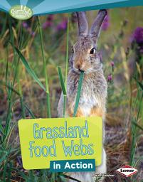 Icon image Grassland Food Webs in Action