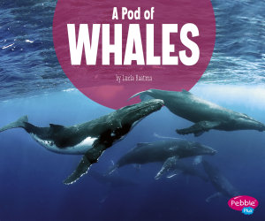 Icon image A Pod of Whales