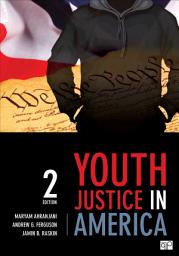 Icon image Youth Justice in America: Edition 2