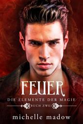 Icon image Feuer - Die Elemente der Magie 2: Fantasy für Jugendliche