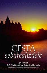 Icon image Cesta sebarealizácie