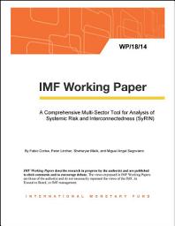 Icon image A Comprehensive Multi-Sector Tool for Analysis of Systemic Risk and Interconnectedness (SyRIN)