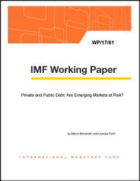 Icon image Private and Public Debt: Are Emerging Markets at Risk?