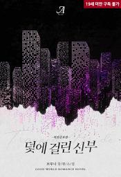 Icon image [합본]덫에 걸린 신부(외전증보판) (전2권/완결)