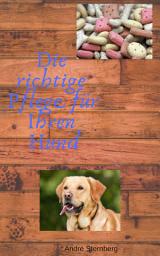Icon image Die richtige Pflege für Ihren Hund: Lernen Sie alles, was Sie für die richtige Pflege Ihres Hundes wissen müssen!