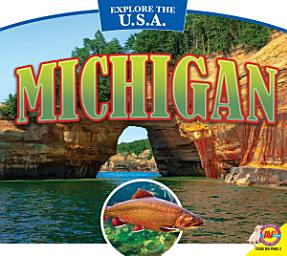 Icon image Michigan