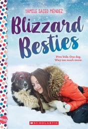 Icon image Blizzard Besties: A Wish Novel