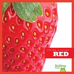 Icon image Red