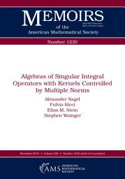 Icon image Algebras of Singular Integral Operators with Kernels Controlled by Multiple Norms