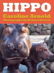 Icon image Hippo