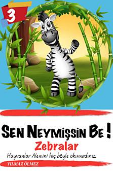 Icon image