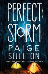 Icon image Perfect Storm: A Mystery