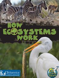 Icon image How Ecosystems Work