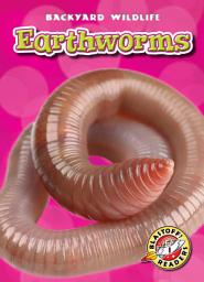 Icon image Earthworms