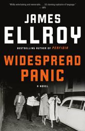 Icon image Widespread Panic: A novel