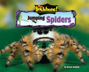 Icon image Jumping Spiders
