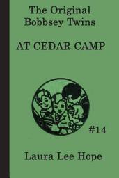 Icon image The Bobbsey Twins at Cedar Camp