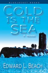 Icon image Cold is the Sea: A Novel