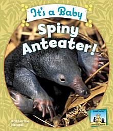 Icon image It's a Baby Spiny Anteater!