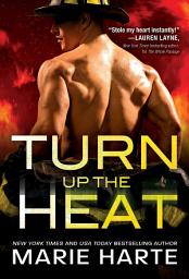 Icon image Turn Up the Heat: Volume 4