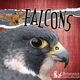Icon image Falcons