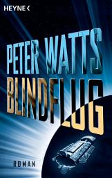 Icon image Blindflug: Roman