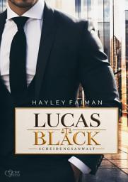 Icon image Lucas Black, Scheidungsanwalt