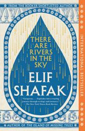 Icon image There Are Rivers in the Sky: A novel