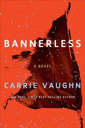 Icon image Bannerless: A Novel