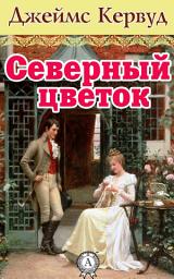 Icon image Северный цветок