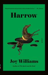Icon image Harrow: A Novel