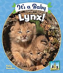 Icon image It's a Baby Lynx