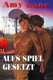 Icon image Aufs Spiel gesetzt