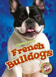 Icon image French Bulldogs