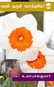 Icon image
