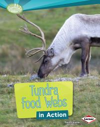 Icon image Tundra Food Webs in Action