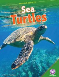 Icon image Sea Turtles